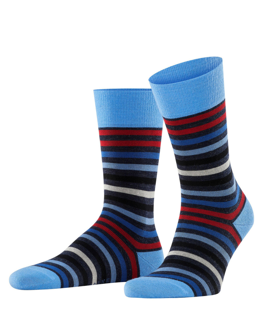 Falke 13279 6278 Tinted Stripe Sock Dark Sapphire/Scarlett